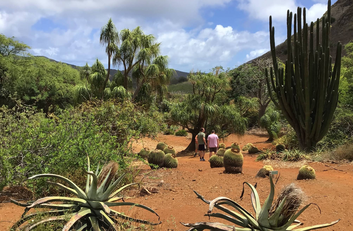 코코 크레이터 식물원 (Koko Crater Botanical Garden)