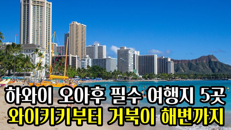하와이 오아후 필수 여행지 5곳 : 와이키키부터 거북이 해변까지 인생샷 보장!