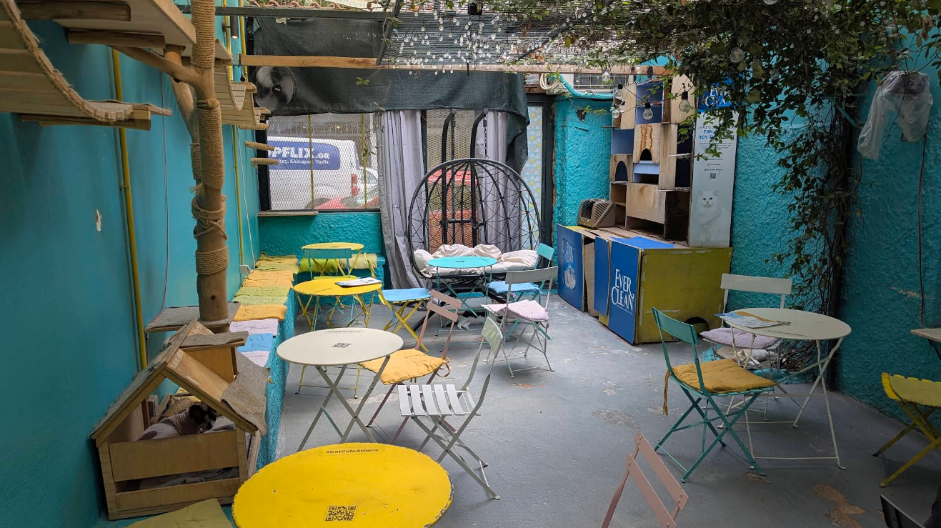 Cat Cafe Athens
