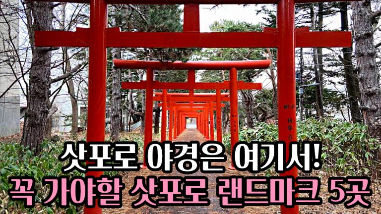 ⛩️삿포로 야경은 여기서! 🌃삿포로 여행 중 꼭 가야 할 랜드마크 5곳