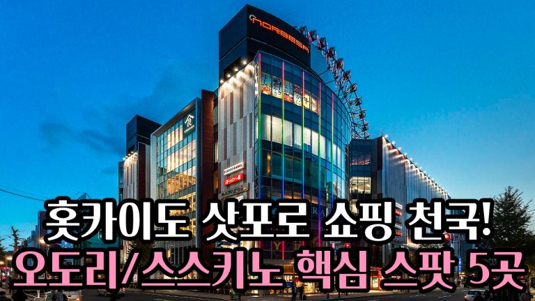 ⛩️홋카이도 삿포로 쇼핑 천국! 🌁오도리/스스키노 핵심 스팟 5곳