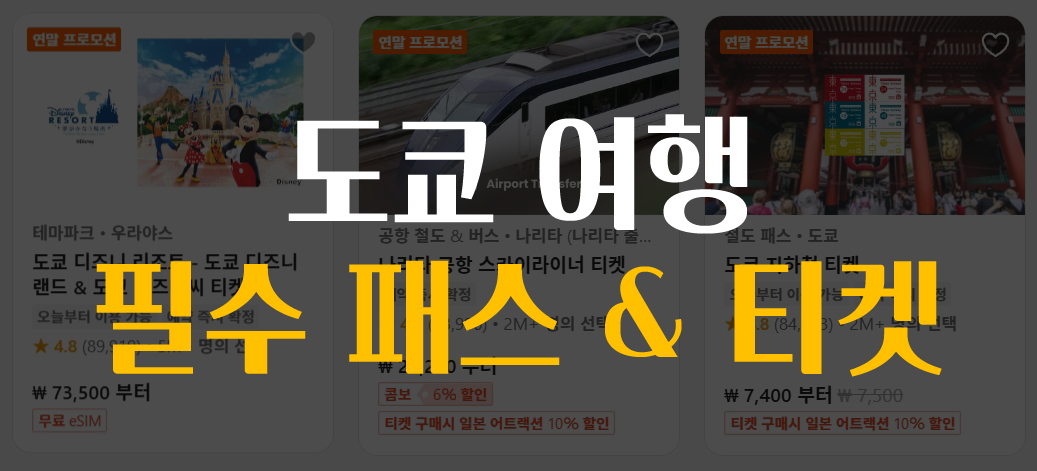 도쿄 여행 패스 이미지