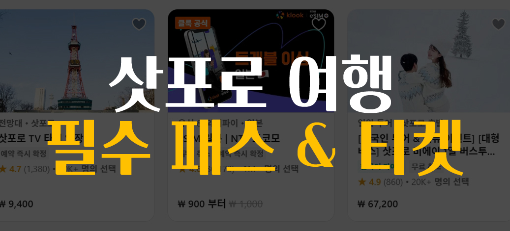 삿포로 여행 패스 이미지