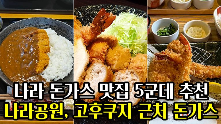 나라 돈가스 맛집 5군데 추천: 나라공원, 고후쿠지 근처 돈가스 맛집