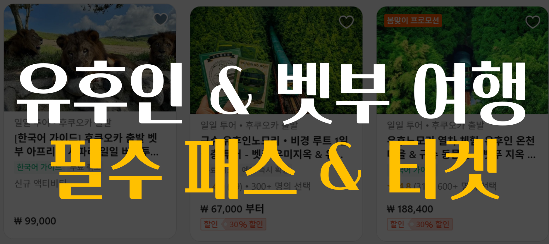 유후인 & 벳부 여행 패스 이미지