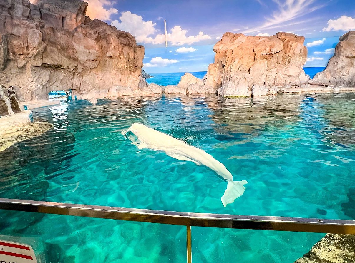 나고야항 수족관