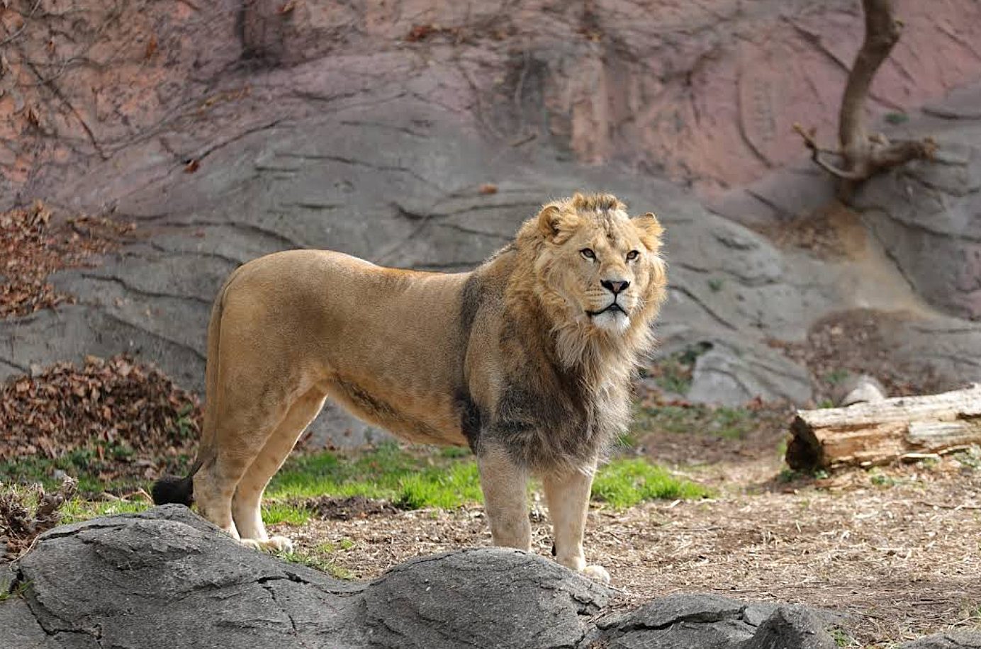 히가시야마 동식물원